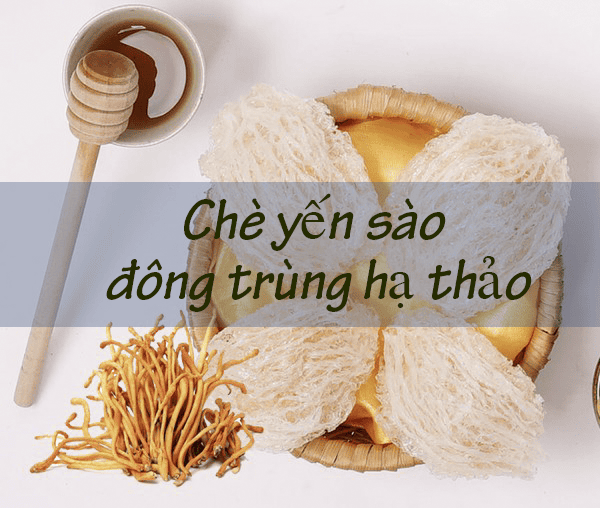 YẾN SÀO VIN NEST - CÔNG TY TNHH VIN NEST