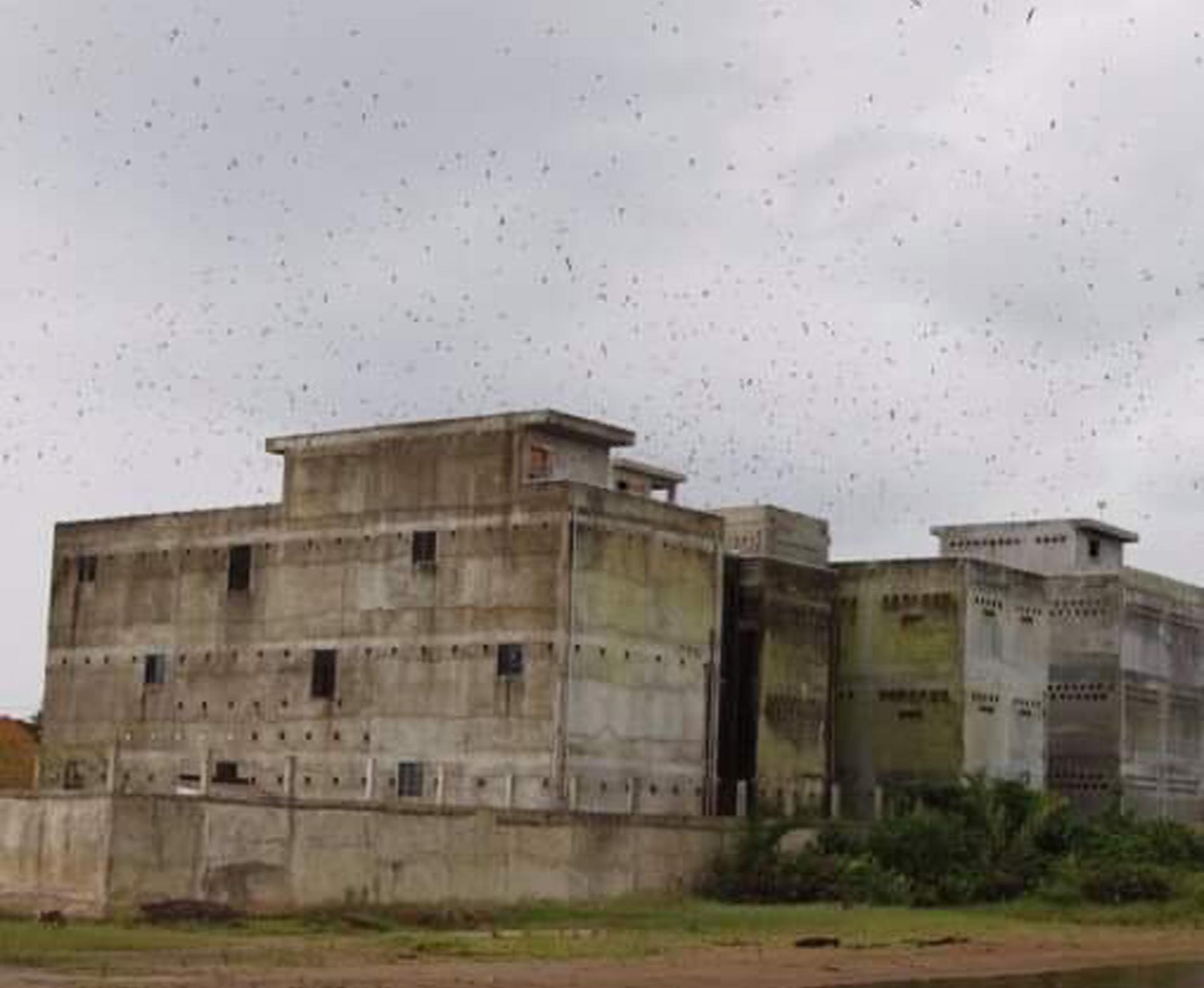 YẾN SÀO VIN NEST - CÔNG TY TNHH VIN NEST