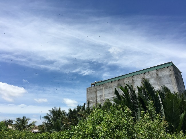 YẾN SÀO VIN NEST - CÔNG TY TNHH VIN NEST