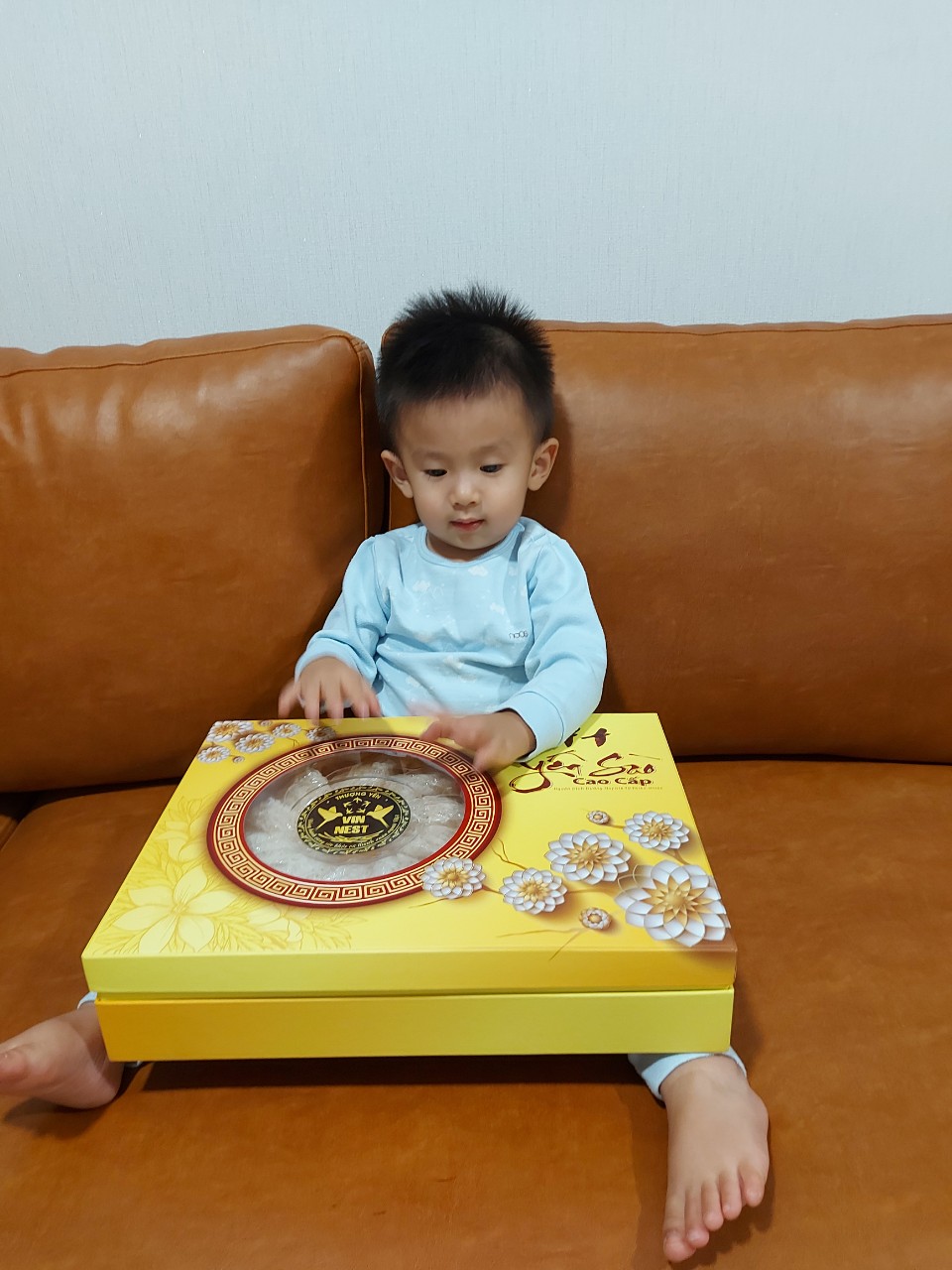 YẾN SÀO VIN NEST - CÔNG TY TNHH VIN NEST