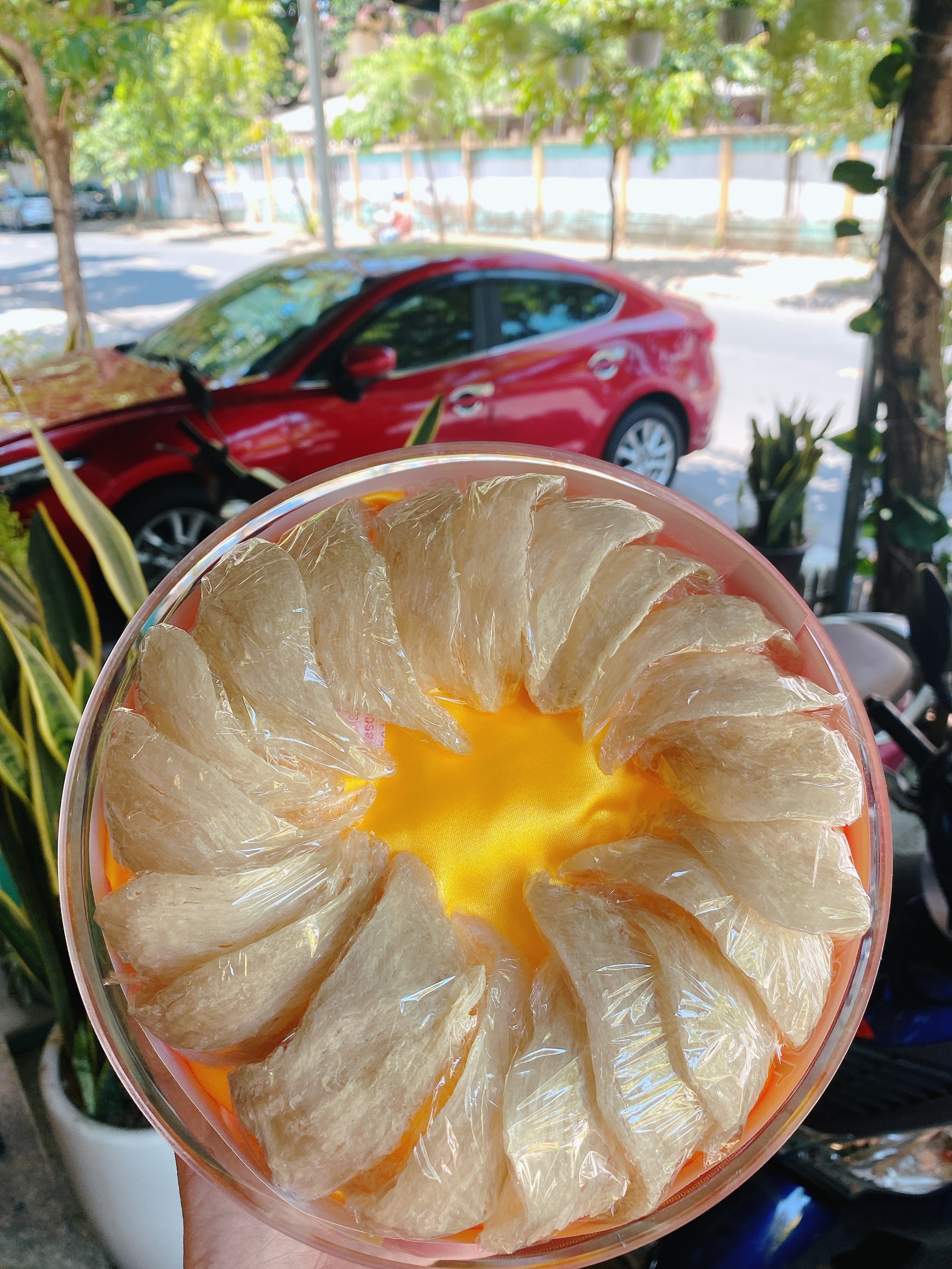 YẾN SÀO VIN NEST - CÔNG TY TNHH VIN NEST