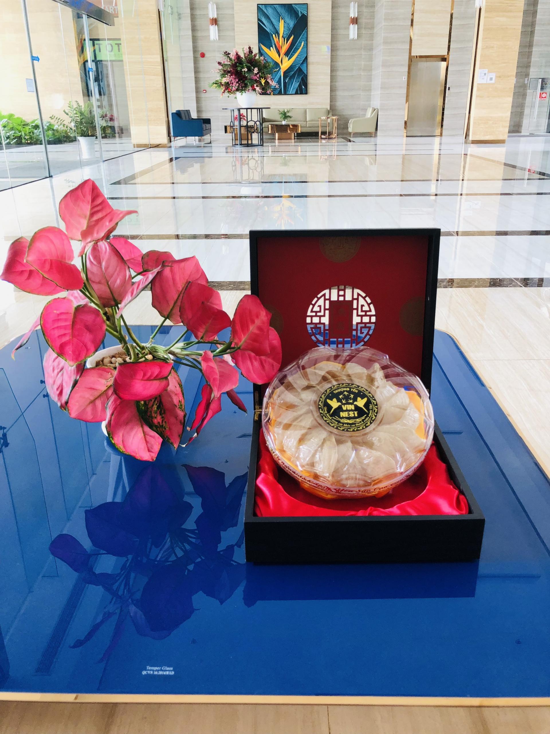 YẾN SÀO VIN NEST - CÔNG TY TNHH VIN NEST